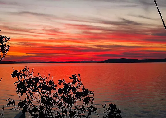 - Senj 1 스타리그라드