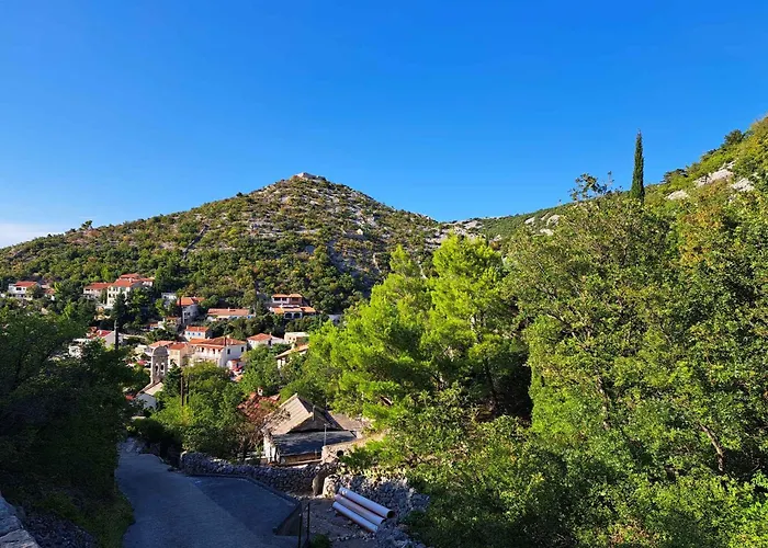 - Senj 1 스타리그라드