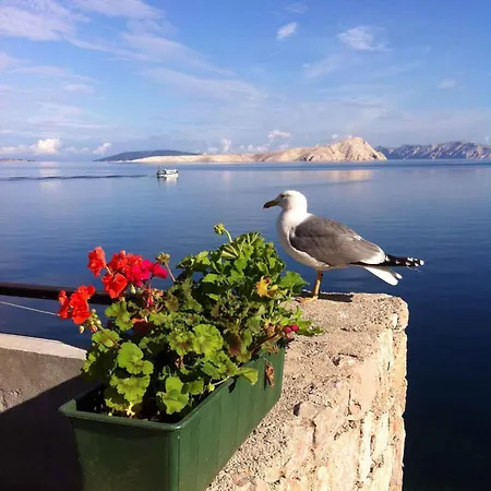 Starigrad/senj 1 Apartman